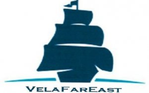 VelaFarEast LLC